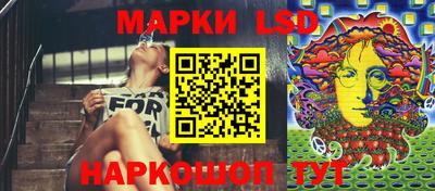 стафф Гусев